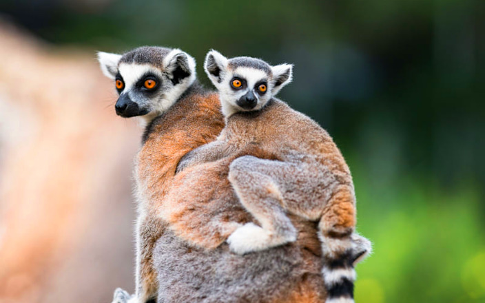 Staten Island Zoo