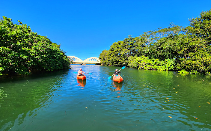Choice of One: 3h Kayak or Stand Up Paddle Board Rental Oahu