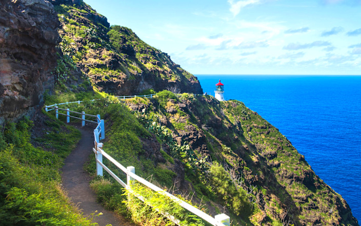 Makapuu Lighthouse & Halona Blowhole Tour