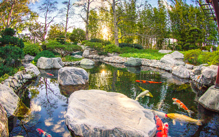 Japanese Friendship Garden