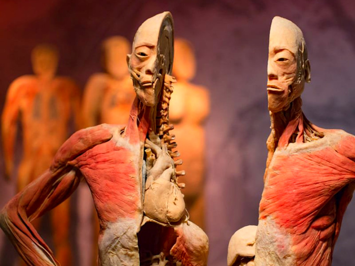 REAL BODIES, Las Vegas