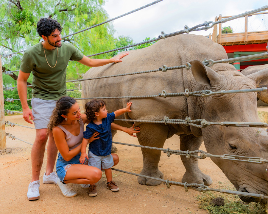 San Antonio Zoo