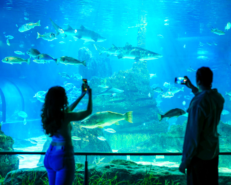 L’Aquàrium de Barcelona