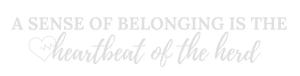 Sense of belonging