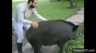 comentario con imagen