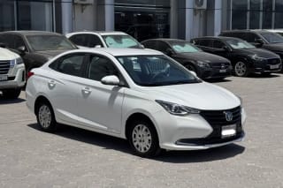 2022 Changan Alsvin Other