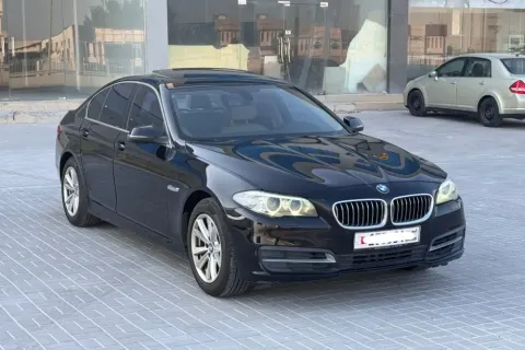2015 BMW 5 Series 520i