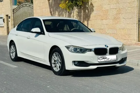 2015 BMW 3 Series 316i