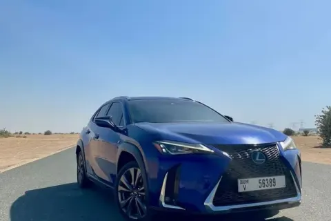2020 Lexus UX 250h Other