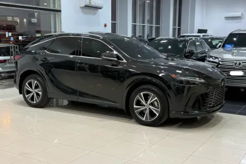 2025 Lexus RX 350 Other