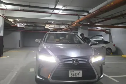 2017 Lexus RX 350 Other