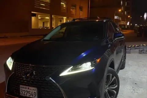 2020 Lexus RX Series Other