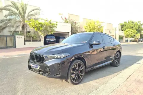 2024 BMW X6 V6