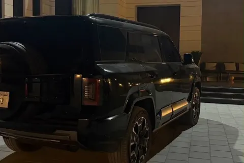2025 BYD Leopard 8 Other