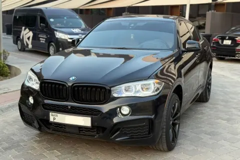 2019 BMW X6 3.0 V6