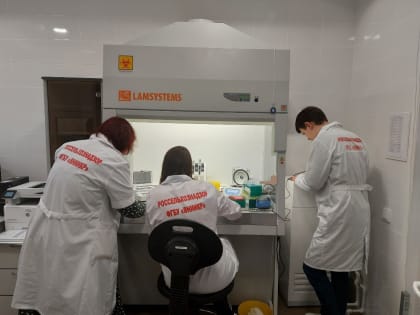 Из Коми экспортировано более 120 тысяч кубометров древесины в Азербаджан, Китай, Египет, Индию, Иран и другие страны