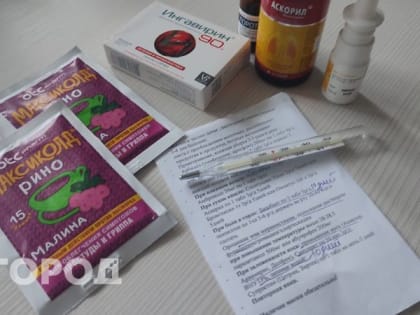 В Коми за минувший год построили 58 новых ФАПов