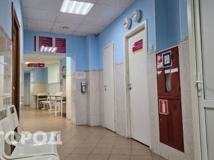 Вирус гриппа унес жизни двух жителей Коми