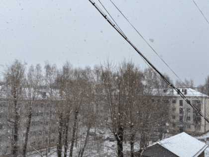 Синоптики рассказали о погоде в Коми на 19 января