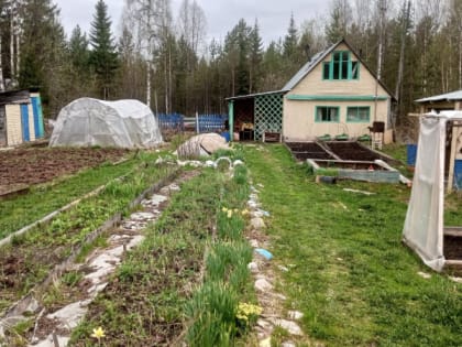 Всех, у кого есть скважина на земельном участке, предупредили о жестких нормах с июля