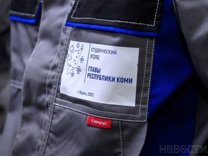 Бойцов студотрядов обучат новым профессиям в Коми