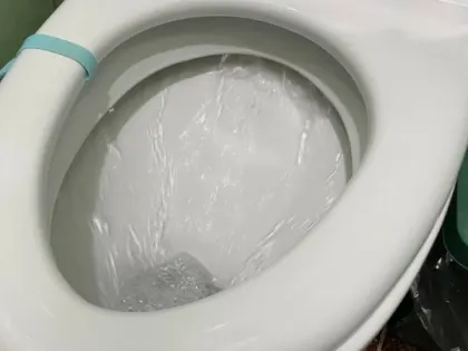 Полстакана — и унитаз белоснежнее снега: от налета и мочевого камня не осталось и следа — сияющая чистота