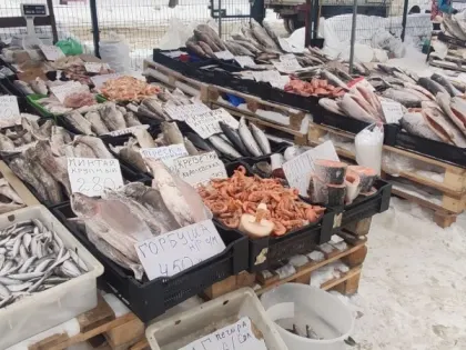 Рыба, которую вообще нельзя подавать к столу: мы едим, еще и детям своим даем - кишит паразитами