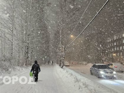 Синоптики рассказали о погоде в Коми на сегодня
