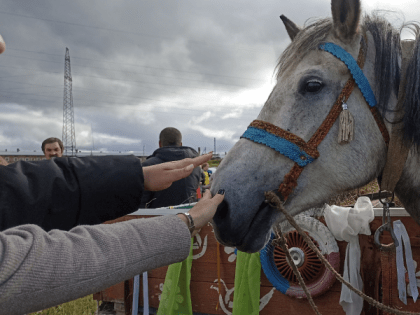 В Коми в 2024 году на гранты «Агростартапа» направят более 31 миллиона рублей