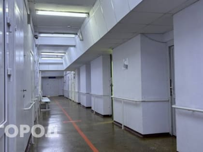 Кардиолог из Коми описала лучшую диету для «сердечников»