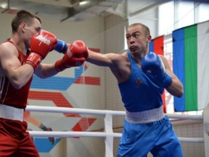 В столице Коми пройдет первенство России по боксу