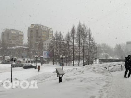 В Ухте сотрудники спасотряда эвакуировали застрявших на лесной дороге пенсионеров