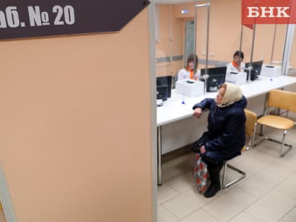 Новый год с гриппом и ОРВИ в Коми встретили 12 тысяч человек