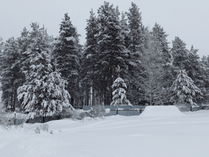 Синоптики рассказали о погоде в Коми 23 января