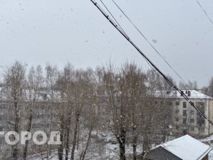 В Коми в феврале придут 30-градусные морозы