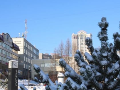 В город придет лес