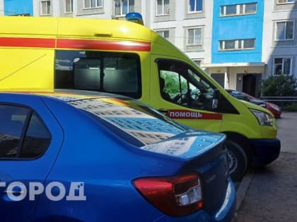 В Коми мошенники атакуют медиков и госслужащих