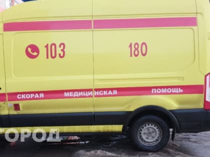 В столкновении 2-х большегрузов в Коми погиб мужчина