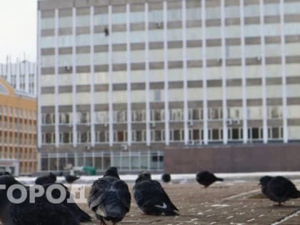 В Коми сразу в нескольких районах введут туристический налог