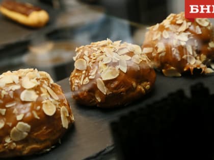 В Коми появился первый в этом году арктический резидент