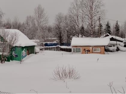 Теперь полностью запрещено: новое правило для всех, у кого есть дача и огород