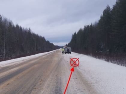 В Прилузском районе Коми водитель иномарки не справился с управлением и съехал в кювет
