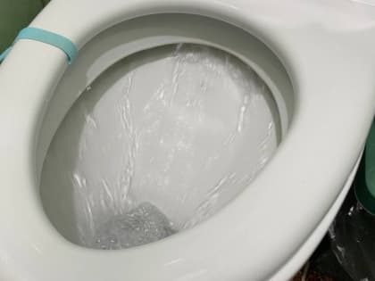 Полстакана — и унитаз белоснежнее снега: от налета и мочевого камня не осталось и следа — сияющая чистота