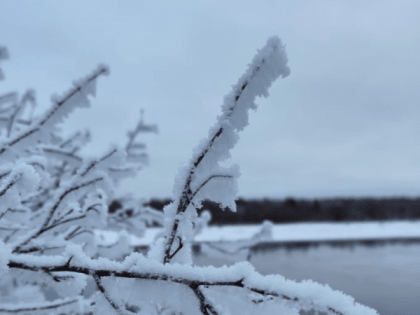 Синоптики сообщили о погоде в Коми и Ухте 9 февраля