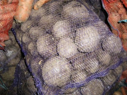 Свекла в Коми подорожала на 10 процентов с начала февраля