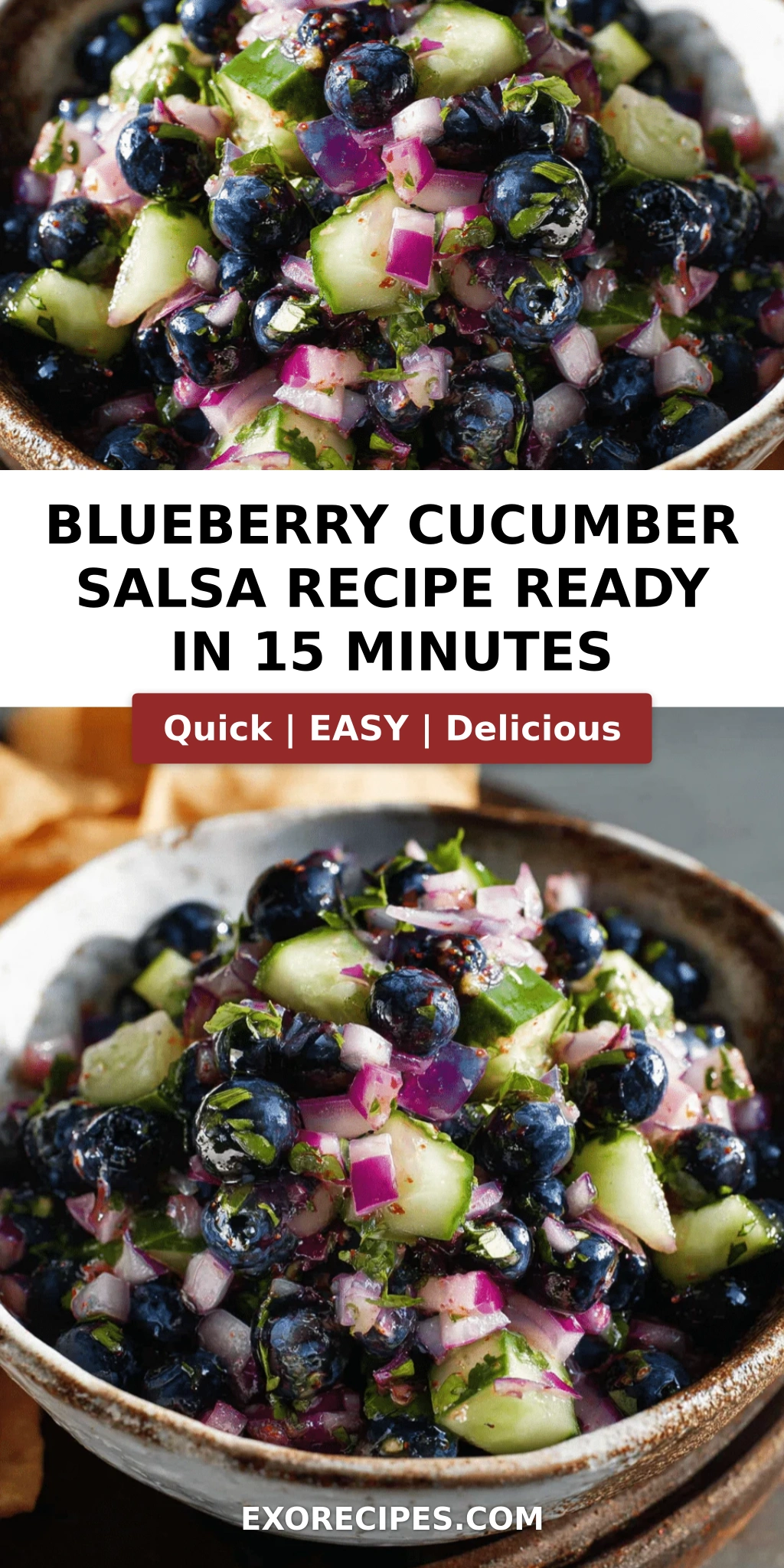 Blueberry Cucumber Salsa That Brightens Every Summer Table