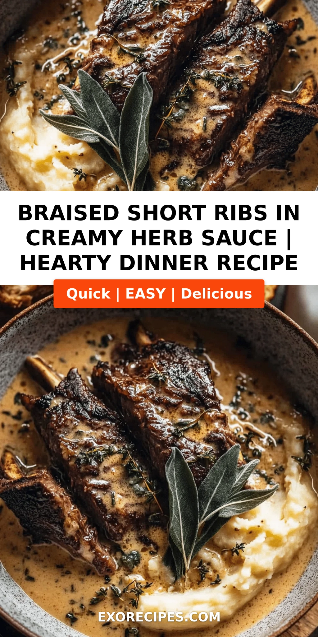 Braised Short Ribs in Creamy Herb Sauce: A Hearty, Flavorful Delight