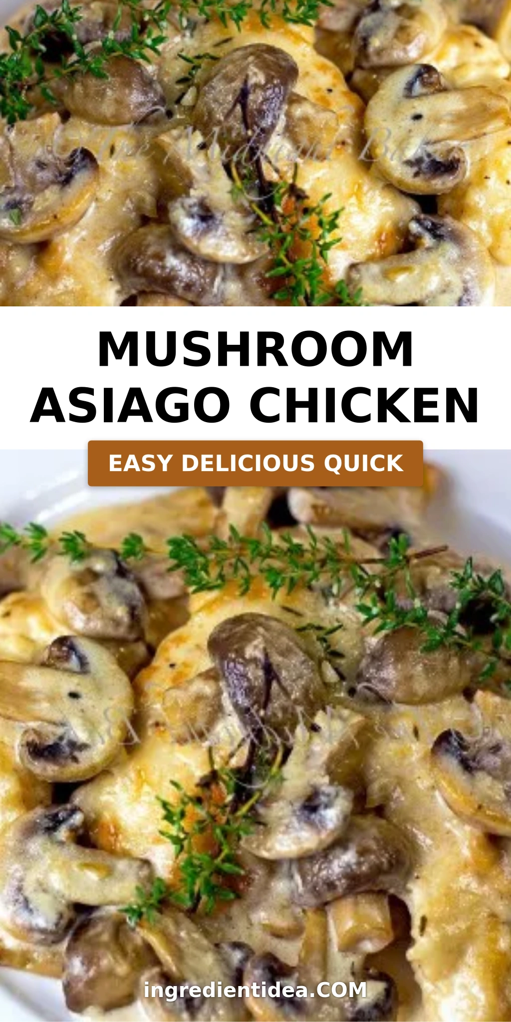 Mushroom Asiago Chicken