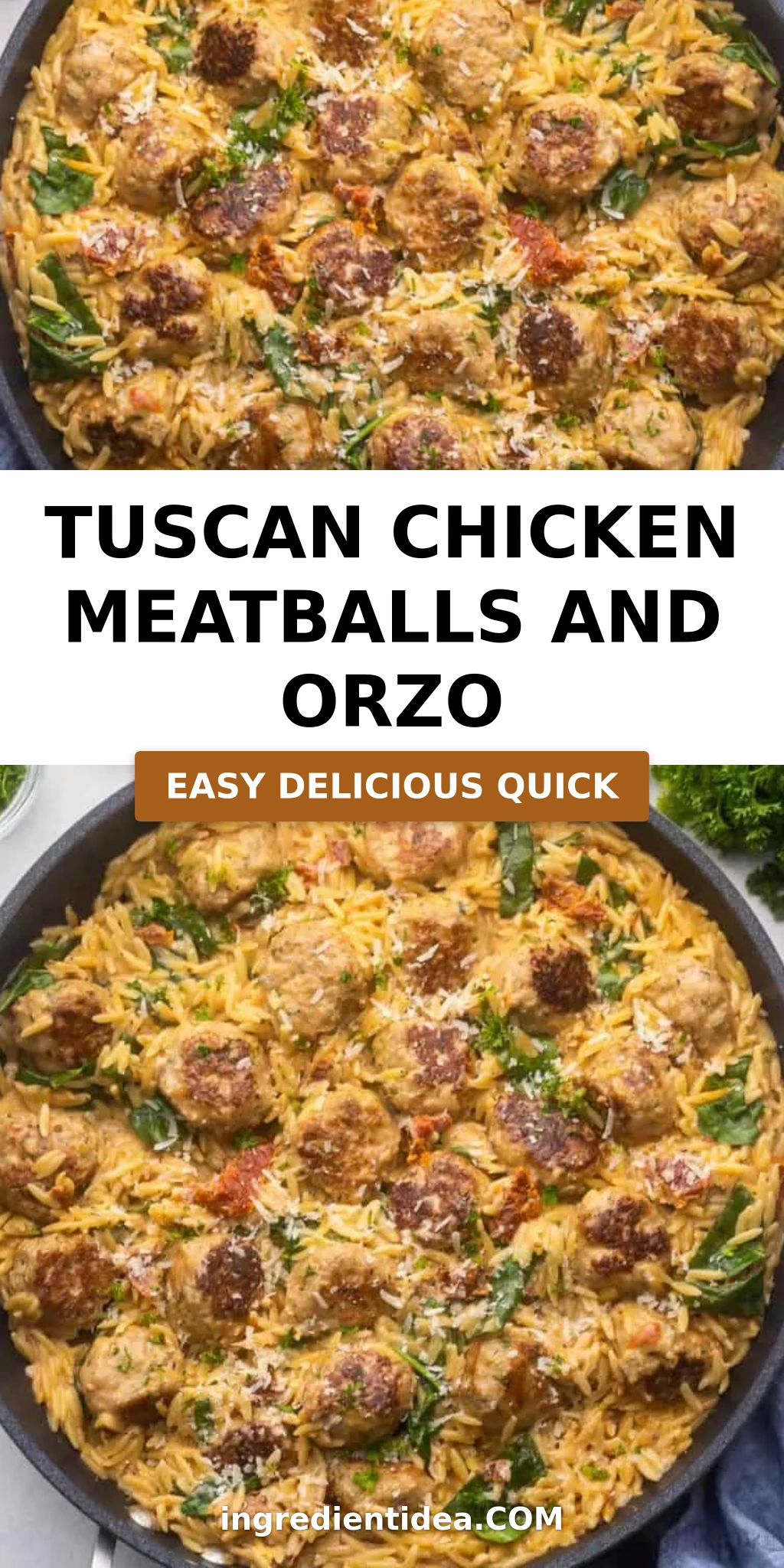 Tuscan Chicken Meatballs and Orzo