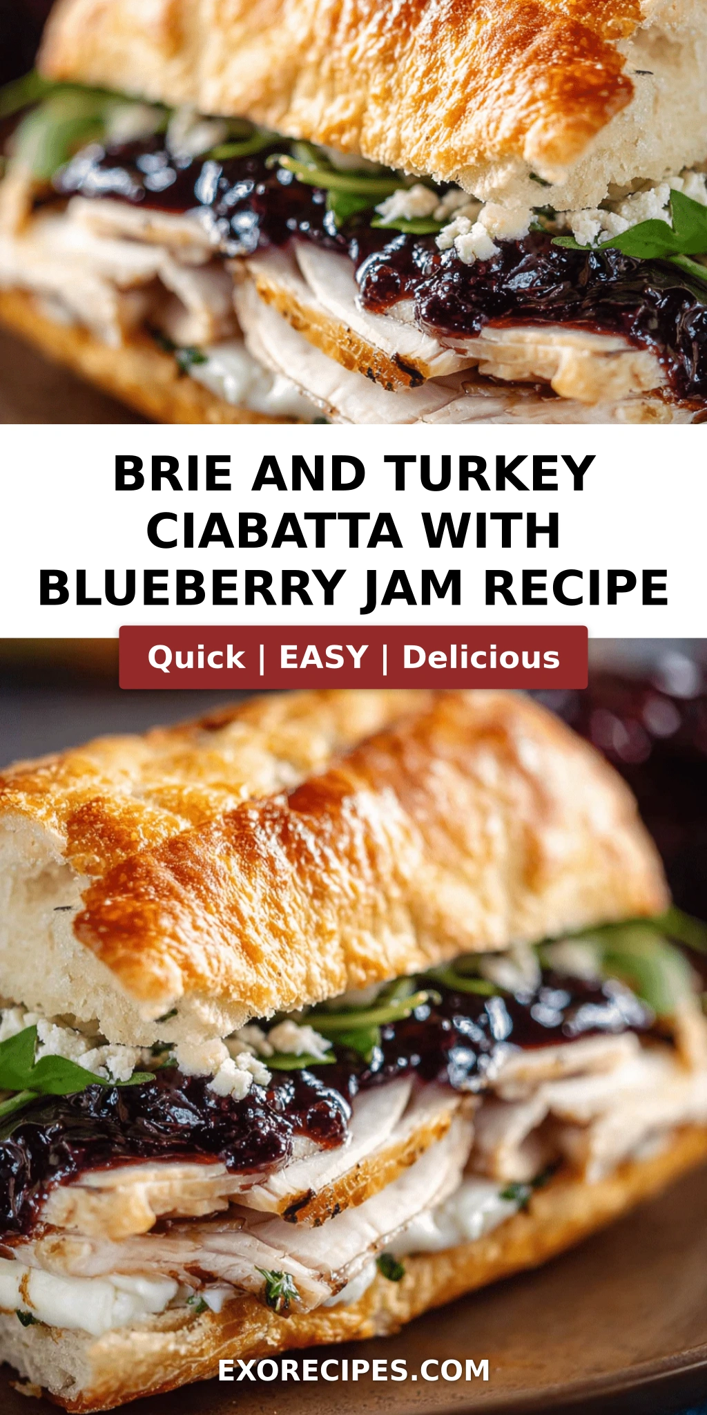 Brie and Turkey Ciabatta with Blueberry Jam and Caramelized Onions: The Ultimate Gourmet Sandwich